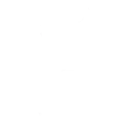 champions league